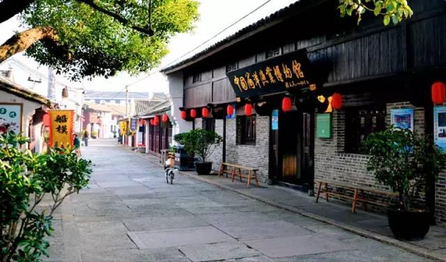 海贼王有十一人超新星，为何海军方的新人都是垃圾？原因是什么？游戏画面